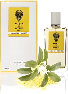 Osmanthus Fragrans by acqua-di-stresa