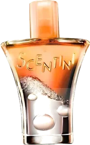 Scentini Citrus Chill by avon