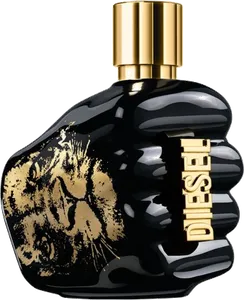 Spirit Of The Brave by diesel