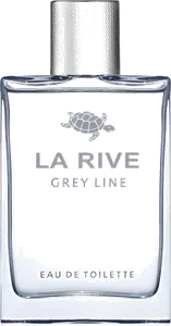 Grey Line by la-rive
