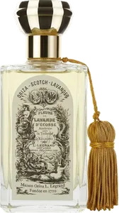 Scotch Lavender by oriza-l-legrand