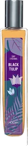 Black Tulip by brocard