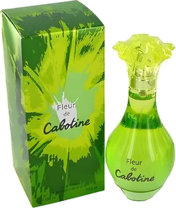 Fleur De Cabotine by gres