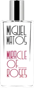 Miracle Of Roses by miguel-matos