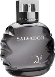Salvador By Salvador Dali 2010 by salvador-dali