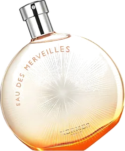 Eau Des Merveilles Limited Edition 2013 by hermes