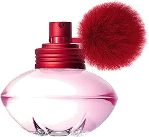 S Kiss by shakira