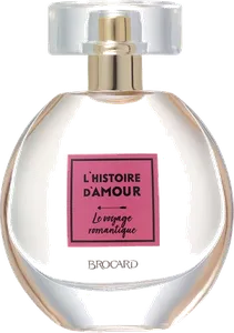 Le Voyage Romantique by brocard