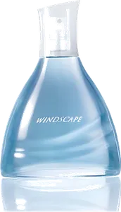 Windscape For Him by avon