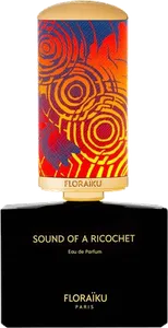 Sound Of A Ricochet by floraiku