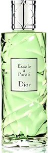 Cruise Collection Escale A Parati by dior