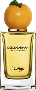 Orange by dolce-gabbana