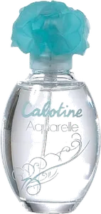 Cabotine Aquarelle by gres