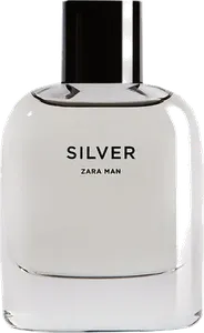 Silver by zara