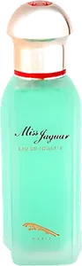 Miss Jaguar by jaguar