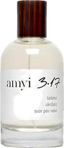 Amyi 3 17 by amyi