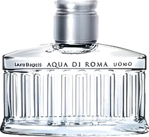Aqua Di Roma Uomo by laura-biagiotti