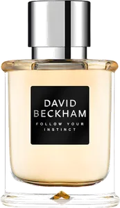 Follow Your Instinct by david-beckham