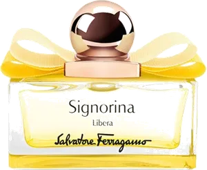 Signorina Libera by salvatore-ferragamo