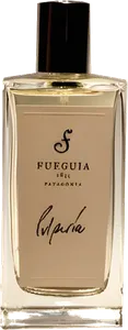 Pulperia by fueguia-1833