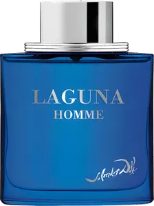 Laguna Homme by salvador-dali