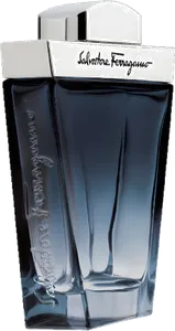 Subtil Pour Homme by salvatore-ferragamo