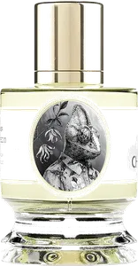 Chameleon by zoologist-perfumes