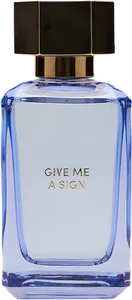 Give Me A Sign Into The Joyful by zara