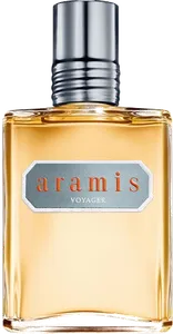 Voyager by aramis