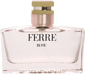 Ferre Rose by gianfranco-ferre