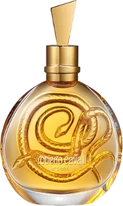 Serpentine by roberto-cavalli