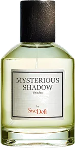 Mysterious Shadow by swedoft
