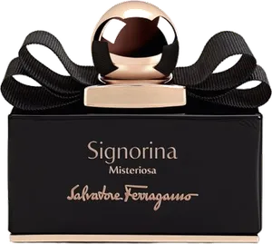 Signorina Misteriosa by salvatore-ferragamo