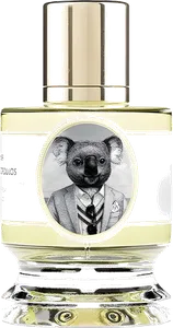 Koala by zoologist-perfumes