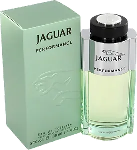 Jaguar Performance by jaguar