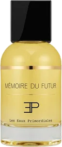 Memoire Du Futur by les-eaux-primordiales