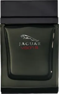Jaguar Vision Iii by jaguar