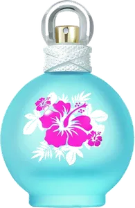 Maui Fantasy by britney-spears