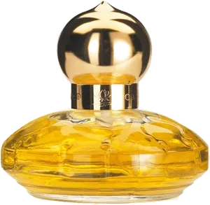 Casmir by chopard