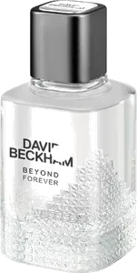 Beyond Forever by david-beckham