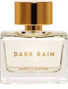 Dark Rain by bjork-and-berries