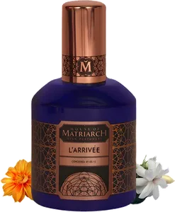 L Arrivee by house-of-matriarch