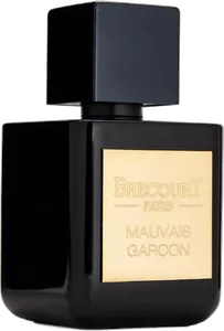 Mauvais Garcon by brecourt