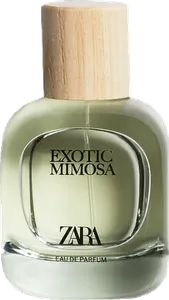 Exotic Mimosa by zara