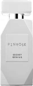 Secret Genius by pinrose