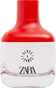 Gloss A Levre by zara