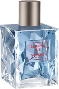 Burning Ice by iceberg