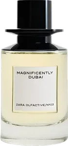 Magnificently Dubai by zara