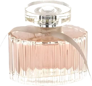 Enchant by marks-spencer