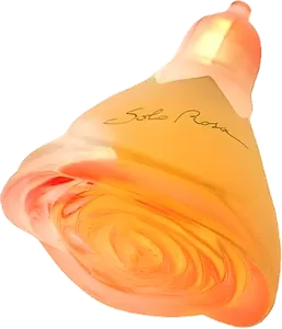 Solo Rosa by luciano-soprani